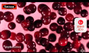 Swisse斯维诗 高浓度蔓越莓胶囊25000mg 30粒/瓶 女性私密健康 含A型原花青素和VC 迪丽热巴同款 澳洲进口 实拍图