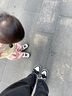 卡特兔童鞋兒童運(yùn)動鞋秋季男童籃球鞋女童溯溪鞋機(jī)能戶外跑步鞋X4AF006 曬單實(shí)拍圖