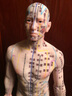 宋天圣中醫針灸穴位人體模型可扎針全身硅膠銅人十二經(jīng)絡(luò )圖真人形小皮人 【升級款】55cm- 256穴 簡(jiǎn)易骨架 男版 曬單實(shí)拍圖