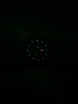 雷美諾時（Luminox） 太平洋潛水員3121紫色手表男200米防水石英氚光3123魯美諾斯3125 XS.3121.BO新款 曬單實拍圖