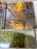 正版 瑞士班得瑞樂(lè)團(tuán) CD 寂靜山林 第2張新世紀(jì)專輯 1CD 曬單實(shí)拍圖
