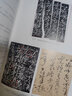 書法鑒定 兼懷素《自敘帖》臨床診斷/傅申中國(guó)書畫鑒定論著全編 曬單實(shí)拍圖