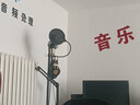 思影（CINE） MB21話筒支架家用落地麥克風(fēng)架子舞臺直播K歌金屬圓盤立式升降防震架電容無線手持麥 MB21升級款 曬單實拍圖