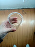 綠簡堂玻璃杯紅茶泡茶器雙耳杯過濾玻璃茶具簡易茶壺普洱功夫沖茶器 橘色珠雙耳杯+4玉蘭杯（不含托盤） 曬單實拍圖