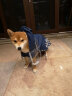 治愈之爪狗狗雨衣中大型犬寵物雨衣柴犬金毛拉布拉多柯基薩摩耶雨披 藍色 M 曬單實(shí)拍圖