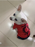 阿莫爾貓咪衣服保暖小貓貓衣服狗狗衣服過(guò)年冬天德文布偶貓蛇年寵物服裝 復(fù)古福字唐裝(加厚加絨四腳衣) L (具體參考身長(zhǎng)和胸圍) 曬單實(shí)拍圖