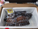  鵝世界 鹵老鵝 醬鹵鹵味老鵝頭鵝肉 3年以上正宗澄海獅頭鵝潮汕特色美食 整只含腳翅內(nèi)臟約10斤 曬單實(shí)拍圖