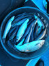 冠標(biāo)冰釣漂淺水漂納米浮漂超短小漂鯽魚(yú)高靈敏魚(yú)漂翻身快草洞漂淺水鯽魚(yú)漂漁具垂釣用品魚(yú)飄冬釣小碎目鯽魚(yú)漂 QH-02 大號(hào)一支 曬單實(shí)拍圖