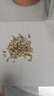 御溪山2025黃山毛峰綠茶新茶明前春茶安徽茶葉明前嫩芽禮盒裝袋裝罐裝 嘗鮮袋裝125g*1袋 曬單實拍圖
