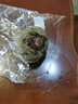 旭耕 有機(jī)甜菜根500g 有機(jī)認(rèn)證蔬菜榨汁有機(jī)蔬菜健康輕食 紅菜頭甜菜 500g 曬單實(shí)拍圖