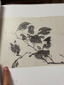 經(jīng)典全集 陳淳畫(huà)集 8開(kāi)中國畫(huà)臨摹畫(huà)冊書(shū)籍寫(xiě)意水墨國畫(huà)花鳥(niǎo)魚(yú)蟲(chóng)山水走獸技法教材高清臨本冊頁(yè) 花卉禽鳥(niǎo)名作賞析鑒賞 楊建飛主編 曬單實(shí)拍圖