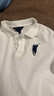 POLOWALK童裝男童短袖POLO衫2025夏季新款保羅運動(dòng)兒童翻領(lǐng)T恤上衣大馬標 白色 130 cm 曬單實(shí)拍圖
