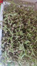 水生田豆芽發(fā)芽盆芽苗菜育苗托盤(pán)無(wú)土栽培水培蔬菜設備豌豆種植育苗盤(pán) 【升級帶蓋款】4套+4豆+壺 曬單實(shí)拍圖