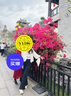 BANANA BABY2023早秋新款復古學(xué)院風(fēng)針織開(kāi)衫女減齡連帽毛衫外套D233MY552 白色 S 曬單實(shí)拍圖