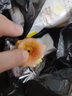 CAIFAN蘋(píng)果 甘肅花牛 甘肅蘋(píng)果水果禮盒大果應季采摘新鮮孕婦寶寶粉面果 【精品大果】10斤裝 曬單實(shí)拍圖