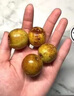 萊財多大荔甜冬棗新鮮棗子當季水果甜脆鮮棗大荔冬青大紅棗現摘現發(fā) 3斤裝【單果15g+】 曬單實(shí)拍圖