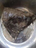 漁吻格陵蘭鰈魚(yú)頭深海特大蝶魚(yú)頭新鮮冷凍鴉片魚(yú)頭商用雅片魚(yú)頭海魚(yú) 【7兩/個(gè)】 碟魚(yú)頭 350g *2個(gè) 曬單實(shí)拍圖