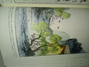 彩繪唐詩畫譜 贈(zèng)送手工花草宣紙描紅花箋（名家書法10頁裝） 曬單實(shí)拍圖