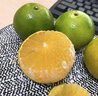馬保果廣西皇帝柑禮盒裝大果新鮮水果整箱香甜貢柑 3斤 曬單實(shí)拍圖