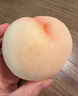果益壽【順豐直達】山東馬陵雪蜜桃脆甜大白桃子金秋紅蜜桃當季新鮮水果 5斤 精選大果 曬單實(shí)拍圖