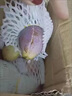 優(yōu)味集八月瓜新鮮貴州八月炸野香蕉當季野生孕婦水果整箱 凈重5斤實惠裝（中果80-120g） 曬單實拍圖