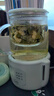小熊（Bear）迷你養(yǎng)生壺養(yǎng)生杯 電燉杯電熱杯煮花茶壺?zé)畨剞k公室杯子0.4L全玻璃杯體YSH-F04E1 曬單實拍圖
