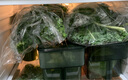 槿饈羽衣甘藍(lán)半斤-5斤 新鮮嫩葉kale健身減榨汁西餐食材脂蔬菜沙拉 5斤裝 曬單實拍圖