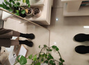 百思圖冬商場新款潮流戶外運動風(fēng)短靴圓頭厚底女瘦瘦靴S6061DD4 絨面黑 36 曬單實拍圖