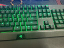 雷蛇（Razer） 黑寡妇蜘蛛标准 机械键盘 游戏键盘 办公键盘 电脑键盘 ABS键帽104键 标准版-104键绿轴绿光 晒单实拍图