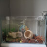 YEE鱼缸金晶超白鱼缸客厅桌面小鱼缸玻璃草缸龟缸家用小型生态金鱼缸 350*200*220【标准套餐】 实拍图