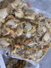 帶黃扇貝肉大號(hào)冷凍新鮮大扇貝粉絲蒜蓉海鮮水產(chǎn) 3斤扇貝肉 曬單實(shí)拍圖