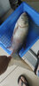 迎科 雙槽新關(guān)東無倒刺釣魚鉤釣鉤漁鉤散裝競技鯽魚鉤鯉魚鉤 黑 雙槽新關(guān)東   5#30枚裝 曬單實拍圖