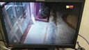 ?？低暎℉IKVISION） 監控系統套裝 800萬(wàn)4K超清白光全彩錄音POE供電 高清監控器家用室外 家用監控室外戶(hù)外攝像頭 2路攝像頭+4路POE主機 無(wú)硬盤(pán) 曬單實(shí)拍圖