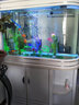 喜灝子彈頭魚缸水族箱客廳家用中型大型1.2米屏風(fēng)隔斷免換水鞋柜魚缸 包到家安裝 1.0米長實木夾板柜一套-頂濾 曬單實拍圖