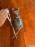 小佩宠物猫牵引绳  猫绳胸背带背心式防挣脱猫咪专用 遛猫绳子链子 灰岩蓝 实拍图