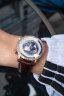 爱勒  AGELOCER世界时间系列高端男士时尚机械手表送男友生日礼物 世界时-金色-钻圈 5201F2 实拍图