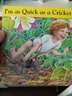【送音頻】我和蟋蟀一樣快 英文原版繪本 I'm as Quick as a Cricket  紙板書(shū)廖彩杏書(shū)單di50本 Audrey Wood親子互動(dòng)學(xué)習圖畫(huà)故事書(shū) 曬單實(shí)拍圖