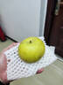 瑩多愛(ài)碭山特產(chǎn)酥梨帶箱2斤裝綠寶石皇冠梨貢梨當(dāng)季鮮果現(xiàn)貨現(xiàn)發(fā)帶箱 帶箱2.5斤 曬單實(shí)拍圖
