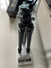 徠圖（Leofoto）三腳架 氫氣系列專業(yè)款便攜碳纖維單反相機攝影攝像帶中軸緊湊三腳架 LY-284C(單腳架) 曬單實拍圖