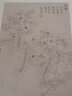 章培筠白描花鳥(niǎo)作品/中國美術(shù)學(xué)院中國畫(huà)系藏品集 曬單實(shí)拍圖