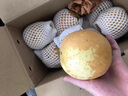樺萱連州潭嶺水晶梨 廣東清遠(yuǎn)高山脆冠梨翠冠梨黃金梨子十斤水果禮盒 五斤中果 精選禮盒裝 曬單實(shí)拍圖