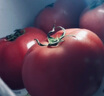 有機西紅柿1斤 自然熟有機認證無(wú)激素無(wú)農殘沙拉食材匯基地直發(fā) 1斤 曬單實(shí)拍圖