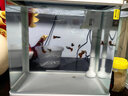 森森（SUNSUN）魚(yú)缸一體缸自循環(huán)客廳桌面家用水族箱免換水生態(tài)懶人迷你金魚(yú)缸 XHR-300 帶18件 配變色燈 曬單實(shí)拍圖