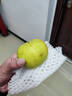 瑩多愛(ài)碭山特產(chǎn)酥梨帶箱2斤裝綠寶石皇冠梨貢梨當(dāng)季鮮果現(xiàn)貨現(xiàn)發(fā)帶箱 帶箱2.5斤 曬單實(shí)拍圖