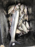 挺派（TINGPAI）千又歪嘴魚鉤倒刺魚鉤散鉤大小通殺鷹爪鉤筏釣磯釣海釣鰱鳙釣魚勾 鷹爪千又10號有刺50枚 送取鉤夾 曬單實拍圖