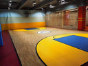 歐百娜 籃球場(chǎng)地膠地墊室內成人籃球館運動(dòng)塑膠地板定制體適能pvc地膠墊 【籃球場(chǎng)-純色】歐寶-4.5mm 曬單實(shí)拍圖