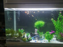 博宇（BOYU）魚(yú)缸 水族箱 熱彎玻璃 40寬 上過(guò)濾家用客廳龍魚(yú)缸養水草金魚(yú)過(guò)濾 EA-80白色魚(yú)缸整套(80*40*123.8) 曬單實(shí)拍圖