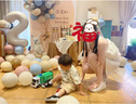 JNBY/江南布衣【云朵系列】春夏無(wú)袖連衣裙小黑裙氣質(zhì)淑女5N4G13750 100/本白 S 曬單實(shí)拍圖