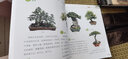 圖解盆景制作與養護 化學(xué)工業(yè)出版社 顧永華,丁昕 編 書(shū)籍 圖書(shū) 曬單實(shí)拍圖