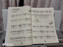 電子琴中外名歌名曲80首：夏日最后一朵玫瑰（第2季） 曬單實(shí)拍圖